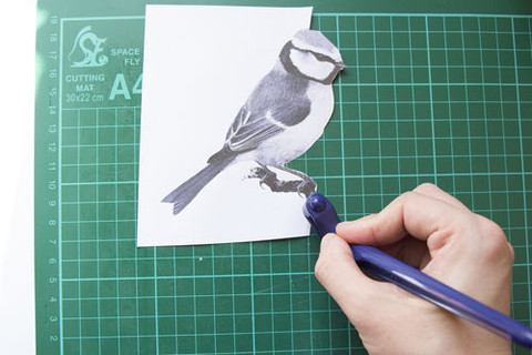 Cutting round an image with Gyrocut