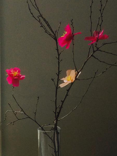 Paper blossom branch