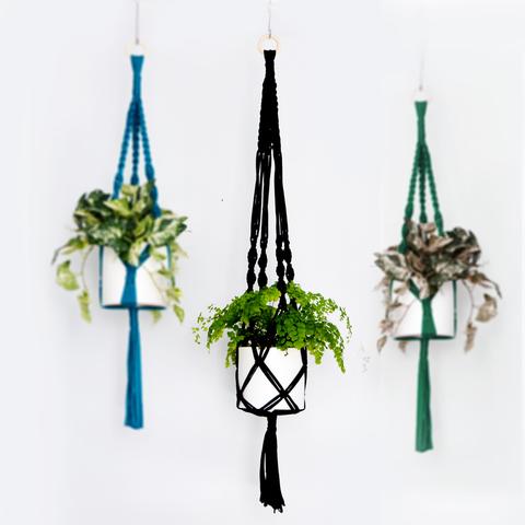 Knot your own fabulous macrame plant hanger (with succulent included!)